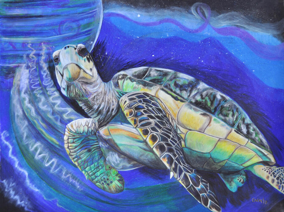 Cosmic Sea Turtle
