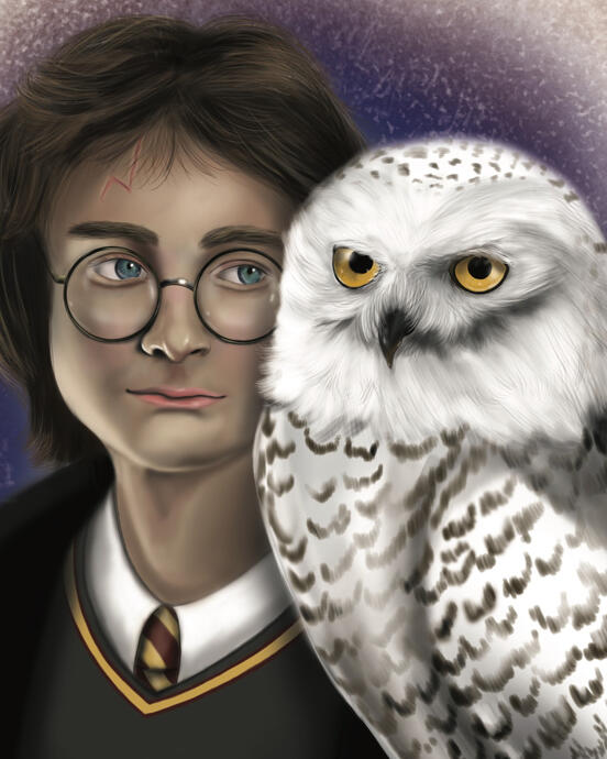 Harry Potter and Hegwig 8x10 Print