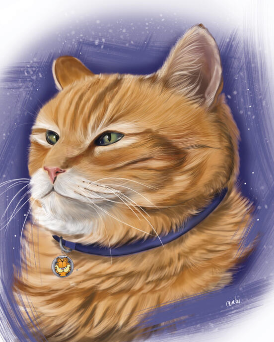 Garfield the Cat 8x10.