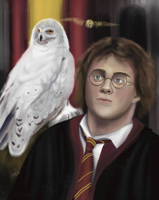 Harry Potter and Hegwig 8x10 Print