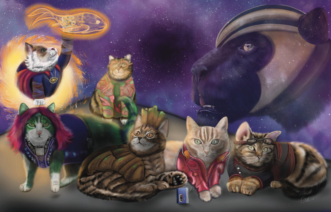 Guardian of the Galaxy Cats 11x17 Poster