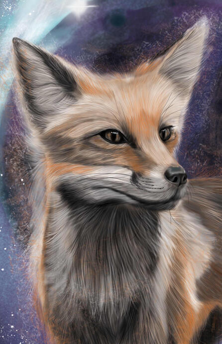 Fox 11x17 Print