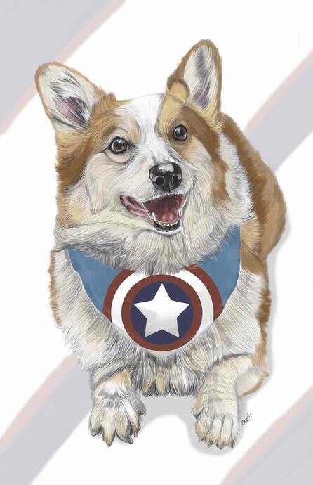 Captain Corgi