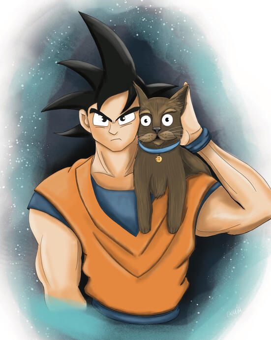 Dragon Ball Z Cat